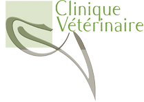 Clinique vétérinaire Les Ecureuils – Lambesc